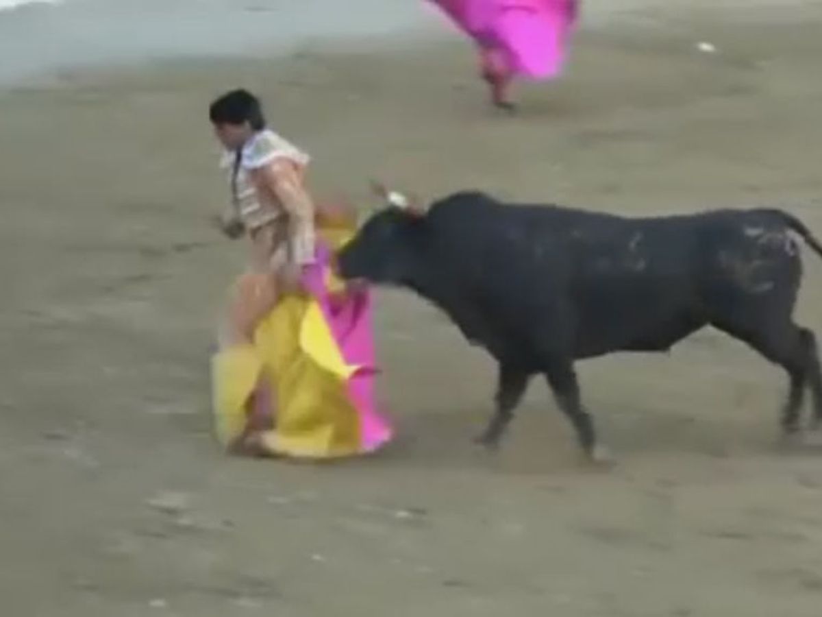 Muere el torero Iván Fandiño de una cornada en el costado derecho