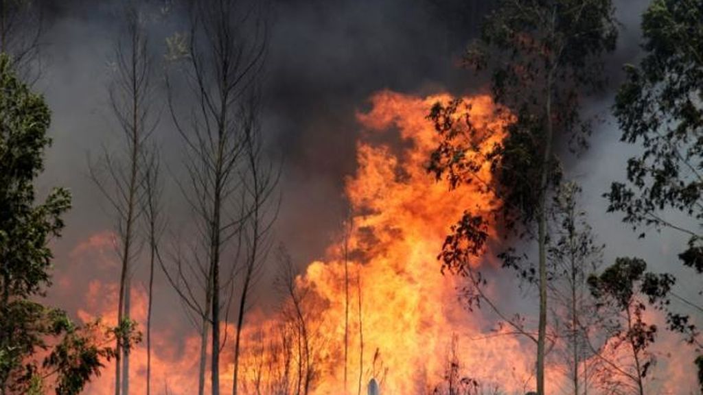 Incendio Portugal:  un bombero que intentaba ayudar a los que huían es la última víctima mortal