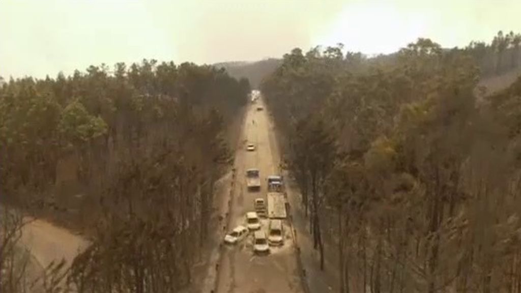 El panorama desolador en la carretera de la muerte del incendio de Portugal