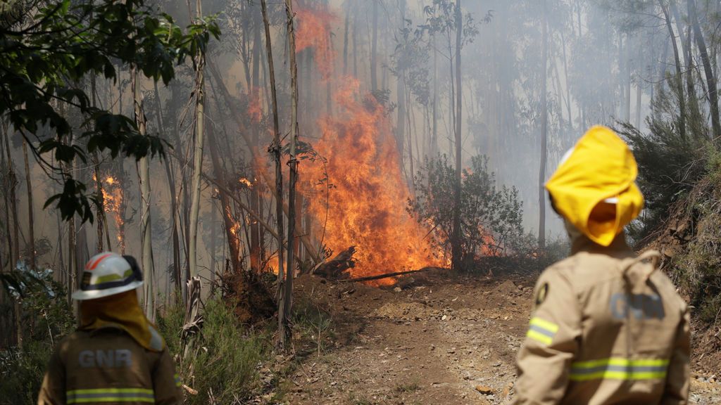 Incendio en Portugal: Las llamas, imparables arrasan 30.000 hectáreas
