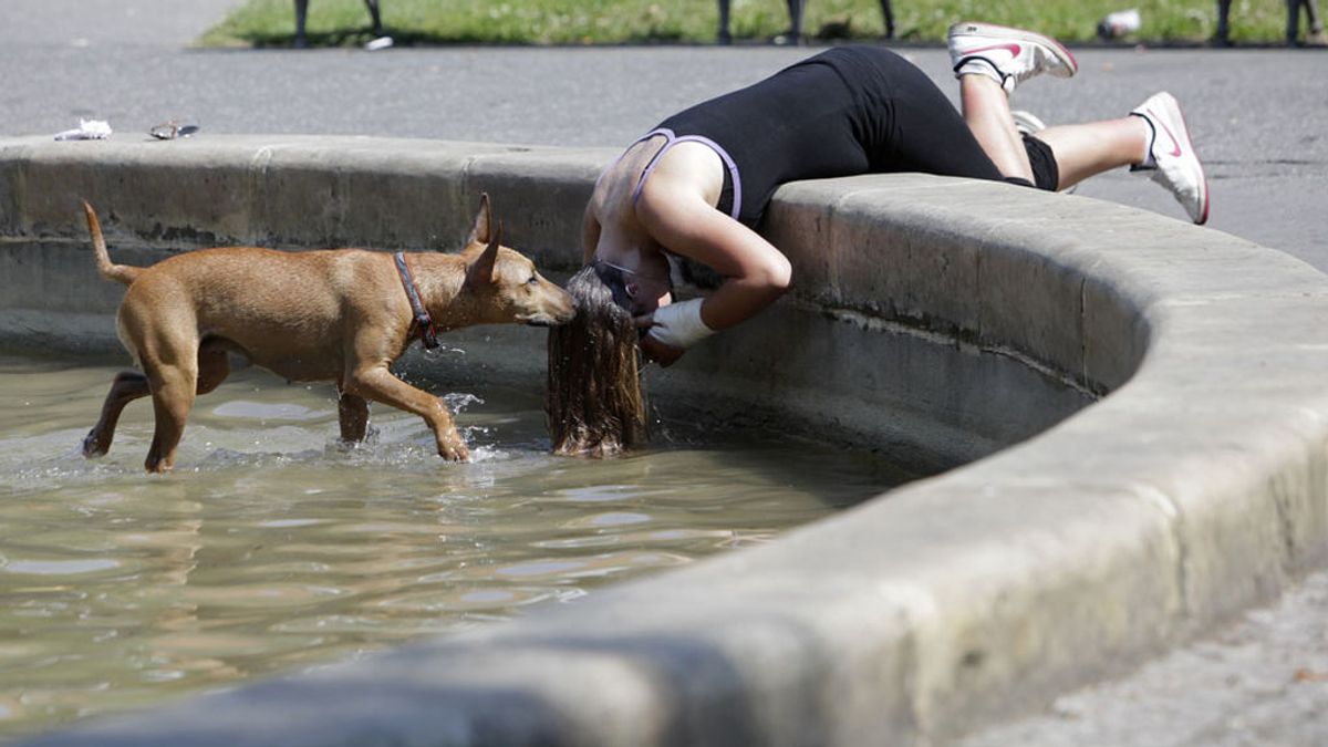 calor