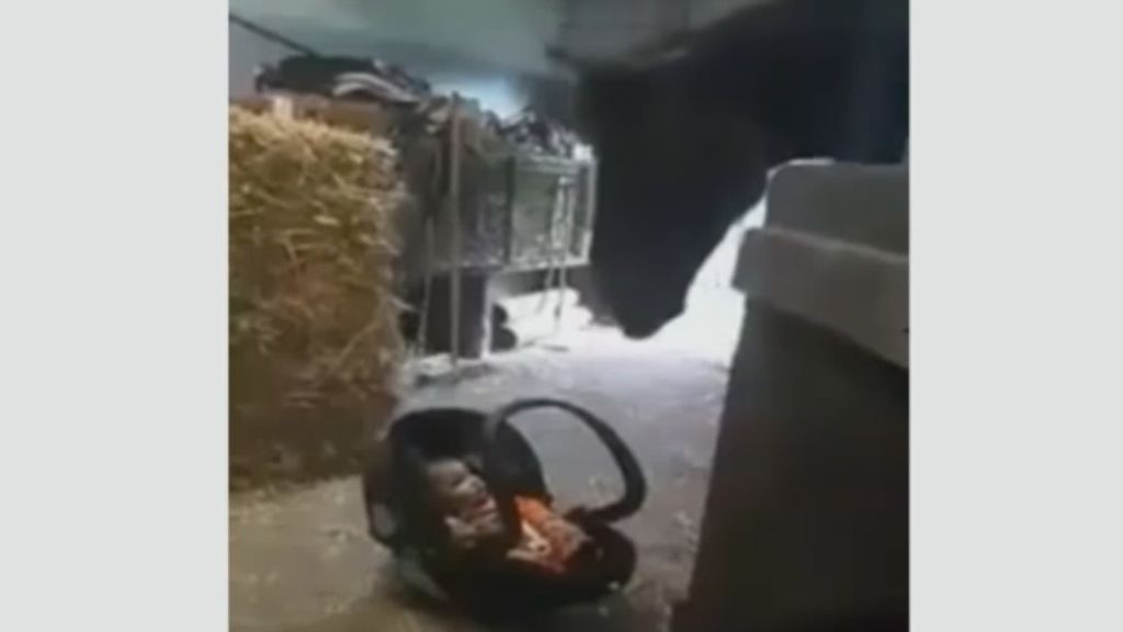 ¡Este caballo sabe perfectamente cómo tratar a un bebé!