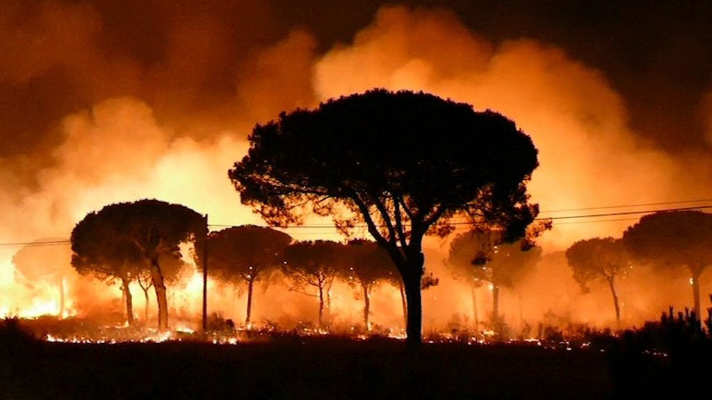 Las imágenes del incendio forestal en Moguer (Huelva)