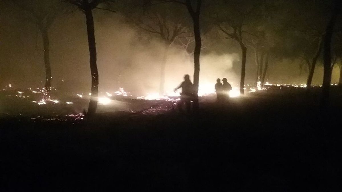 Desalojadas más de 300 personas por el incendio forestal de Moguer (Huelva)