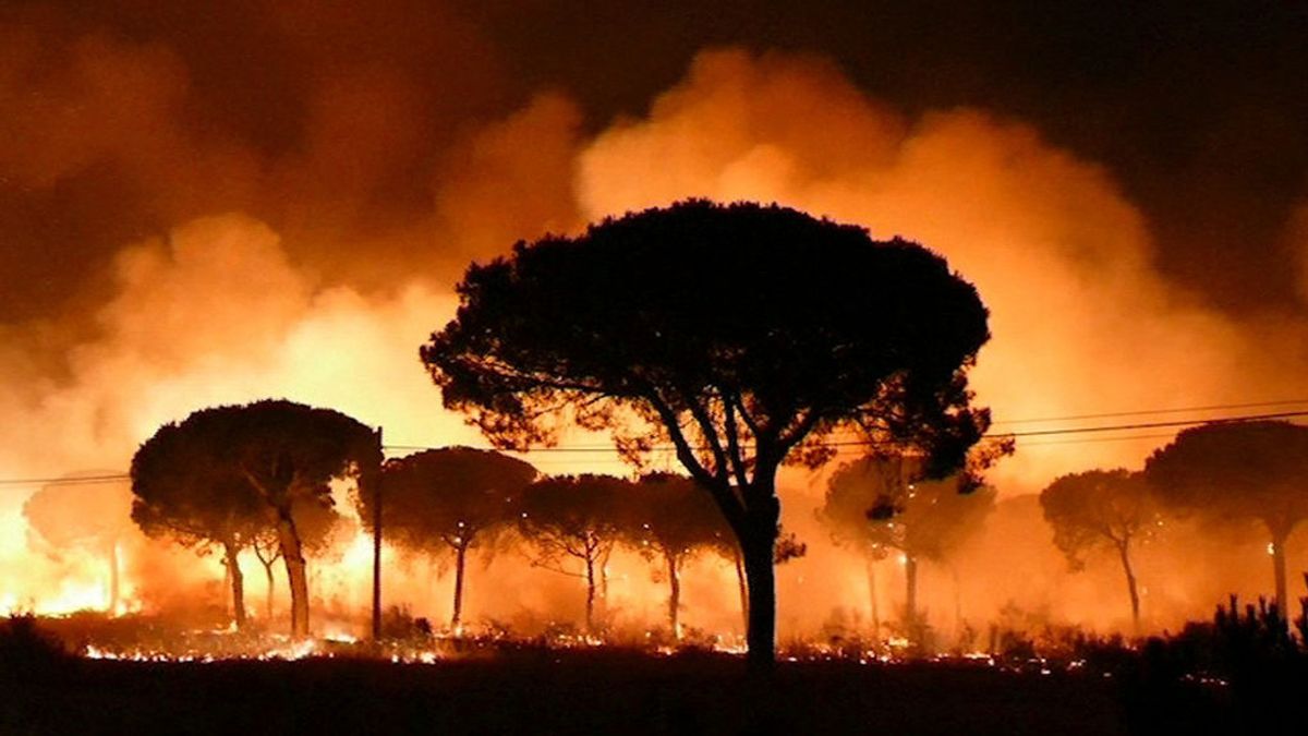 Desalojadas más de 2000 personas por el incendio forestal que afecta a una parte de Doñana