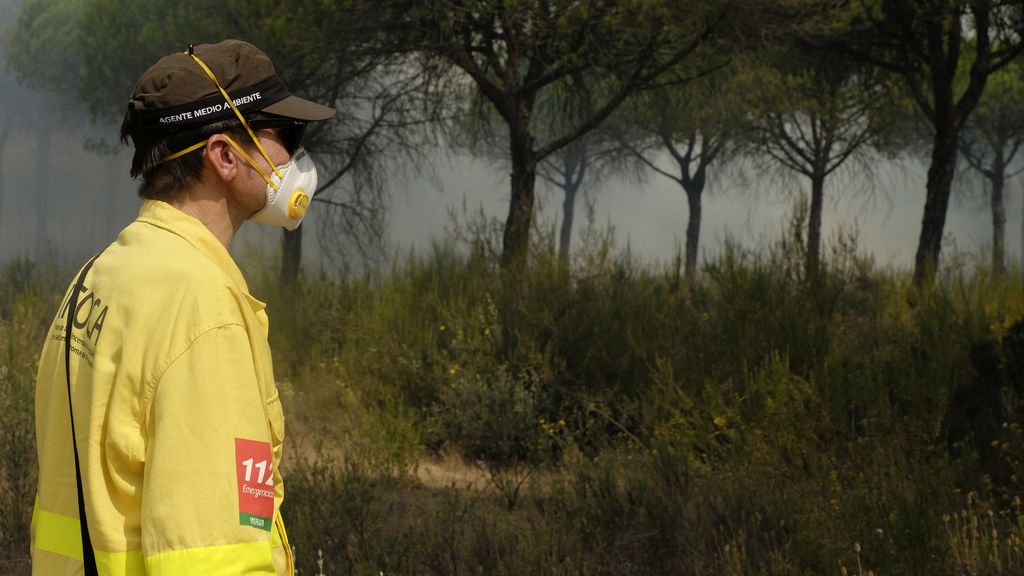 Las imágenes del incendio forestal en Moguer (Huelva)