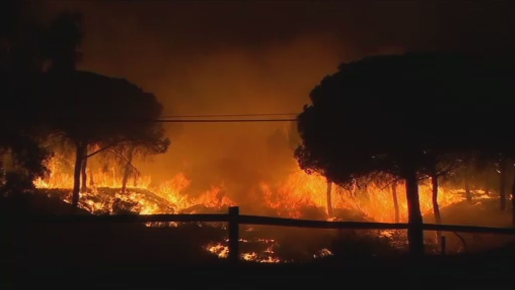 Más de 2.100 evacuados por el incendio forestal en el término municipal de Moguer