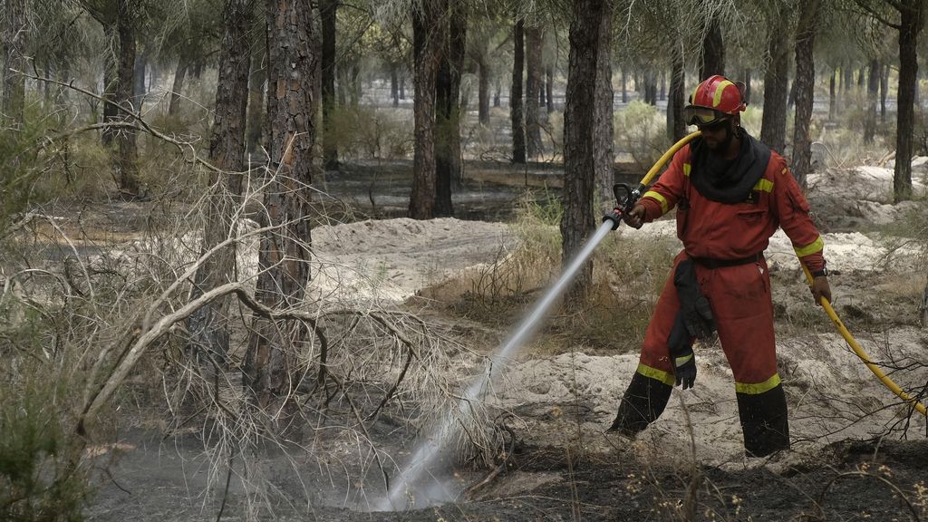 Las imágenes del incendio forestal en Moguer (Huelva)