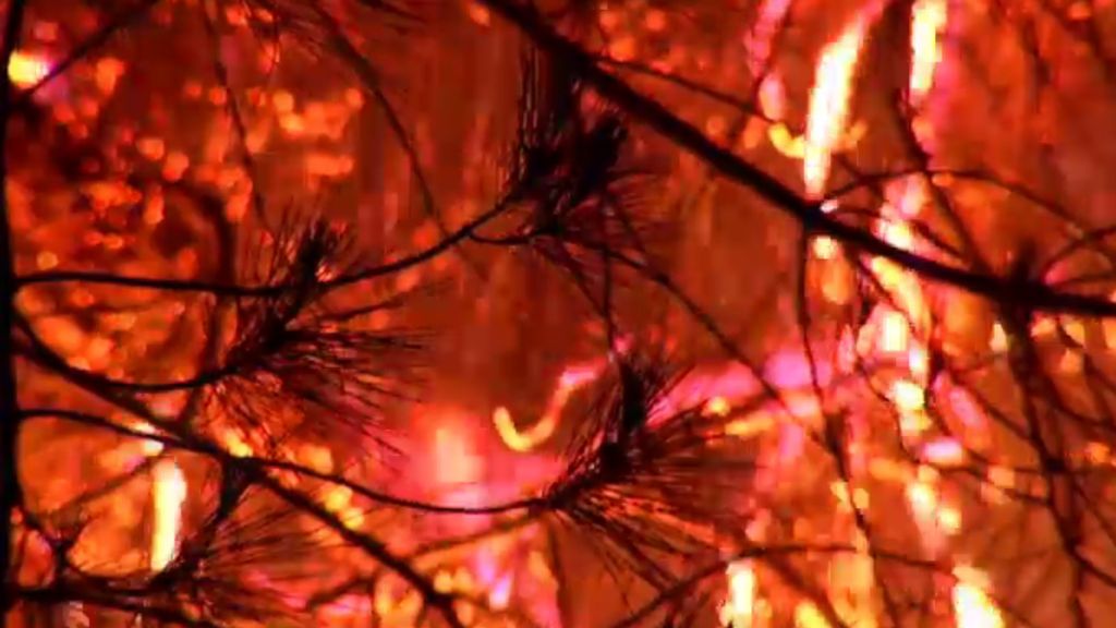 Sigue sin control: el virulento fuego de Moguer llega al Parque de Doñana