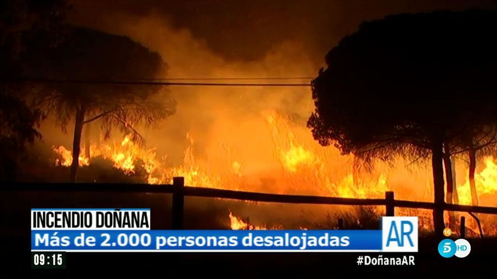 ¿Cómo vivieron los afectados por el incendio de Doñana?