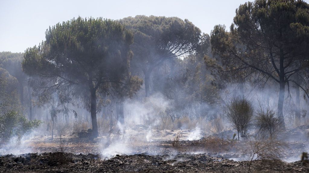 El incendio de Moguer, casi controlado gracias al amaine del viento