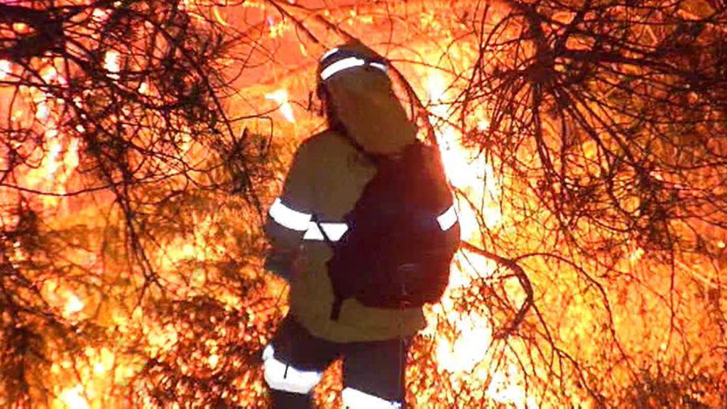 Incendio de Doñana: El tercer foco sigue sin control y amenazando el entorno del parque nacional