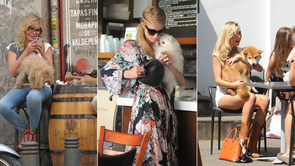 Restaurantes ‘dogfriendly’, o aptos para amo y perro