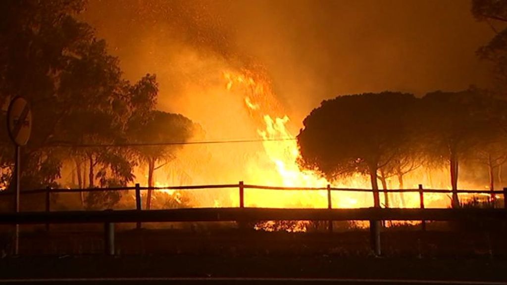 Vuelta a la carretera A494 Matalascañas - Mazagón, un infierno durante el incendio de Doñana