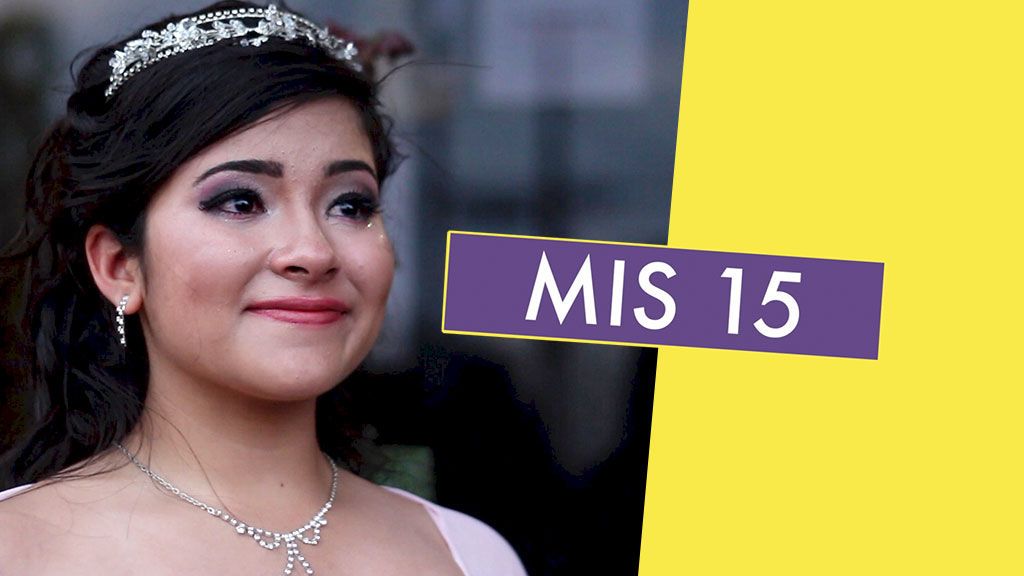 MIS 15