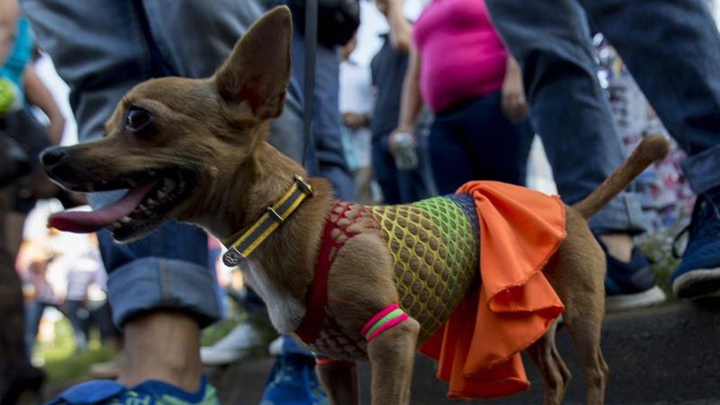 Miles de nincaragüenses participan en marcha del Orgullo Gay en Managua