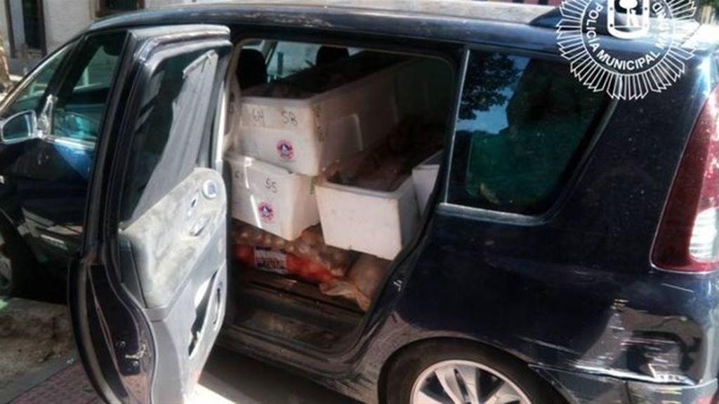Intervenidos 2.200 kilos de alimentos en mal estado de un restaurante del barrio de Salamanca