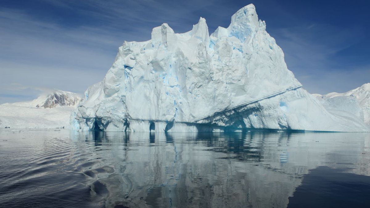Detectan en aguas de la Antártida cafeína, ibuprofeno y cocaína