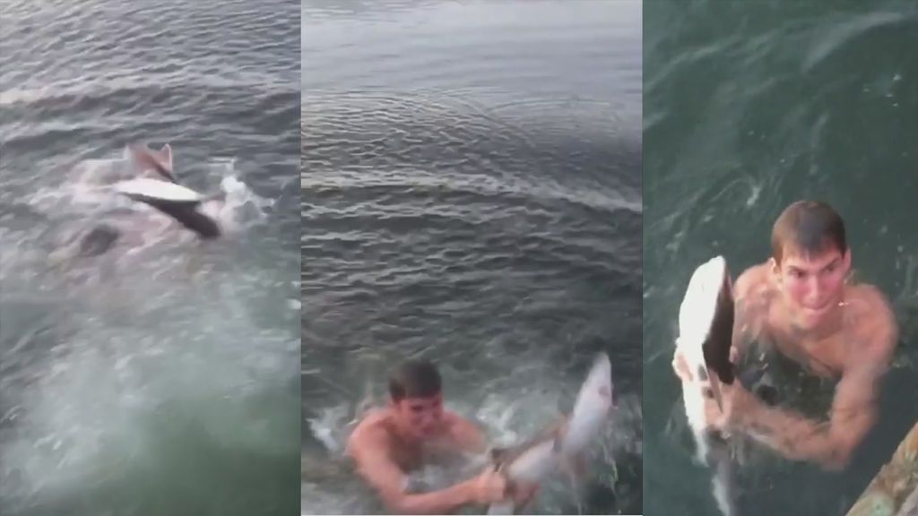 Enérgica condena de la Red a este joven que captura un pequeño tiburón