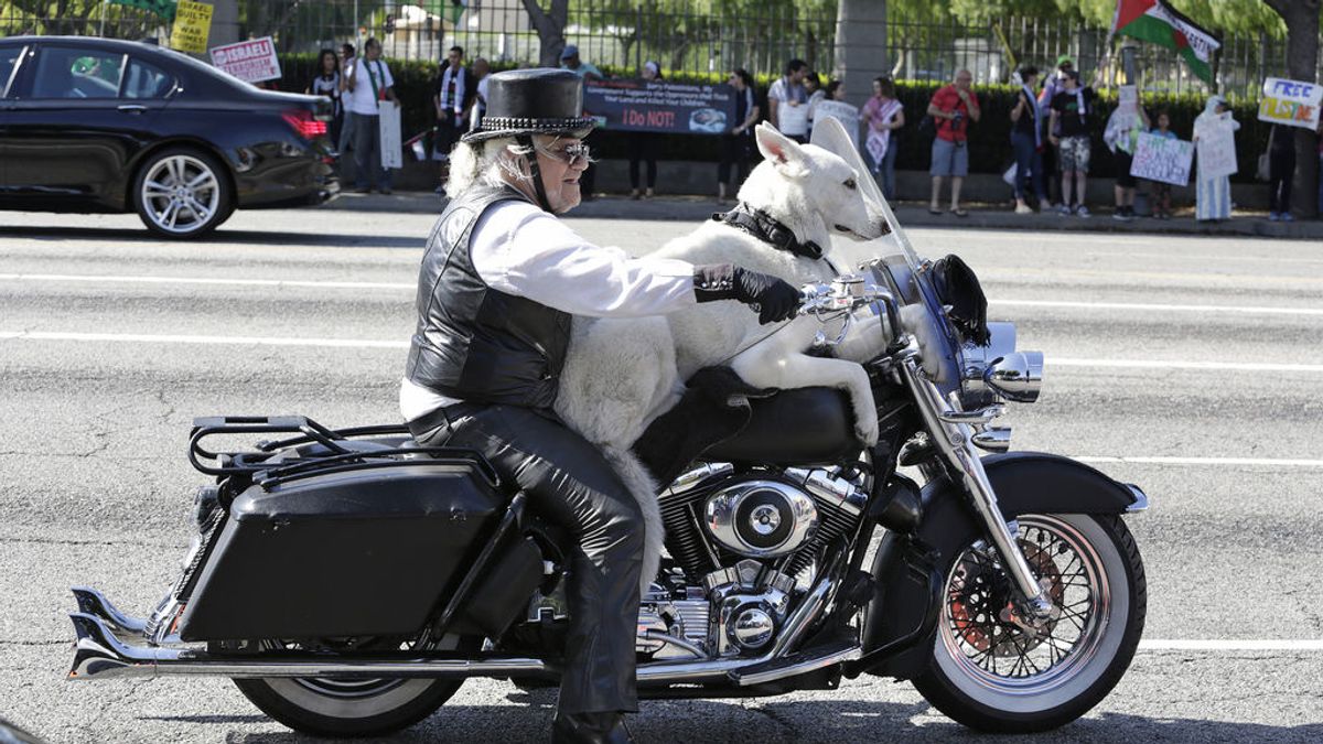 Gana el los tribunales el derecho a llevar a su perro sobre la moto