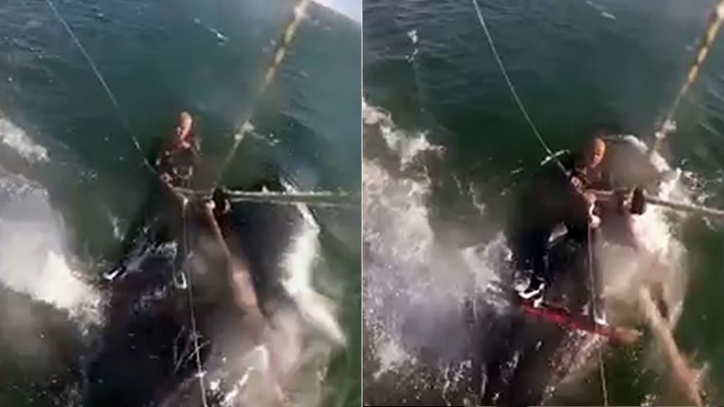 Pasa por encima de una ballena gigante mientras hacía kitesurf