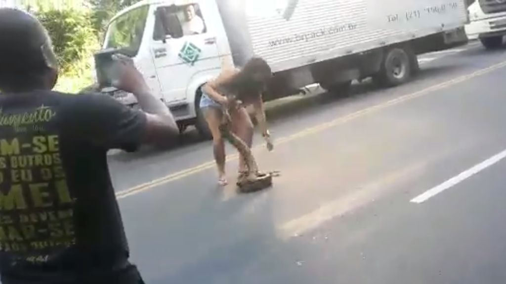 Una mujer atrapa a una anaconda que bloqueaba el tráfico en Brasil