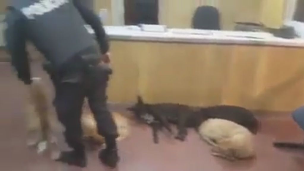 Este policía argentino refugia en la comisaría a perros callejeros  durante la noche