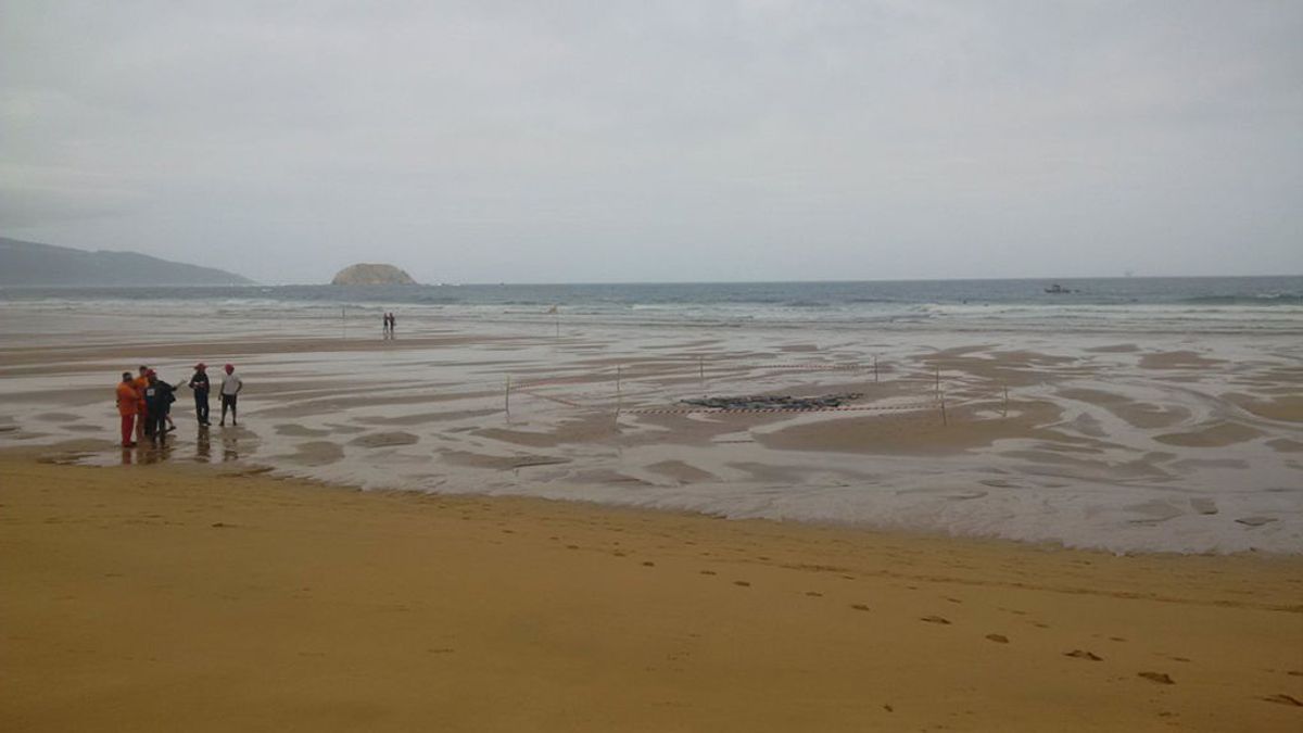 Fallece un turista francés de 44 años mientras nadaba en la playa de Laga, en Vizcaya