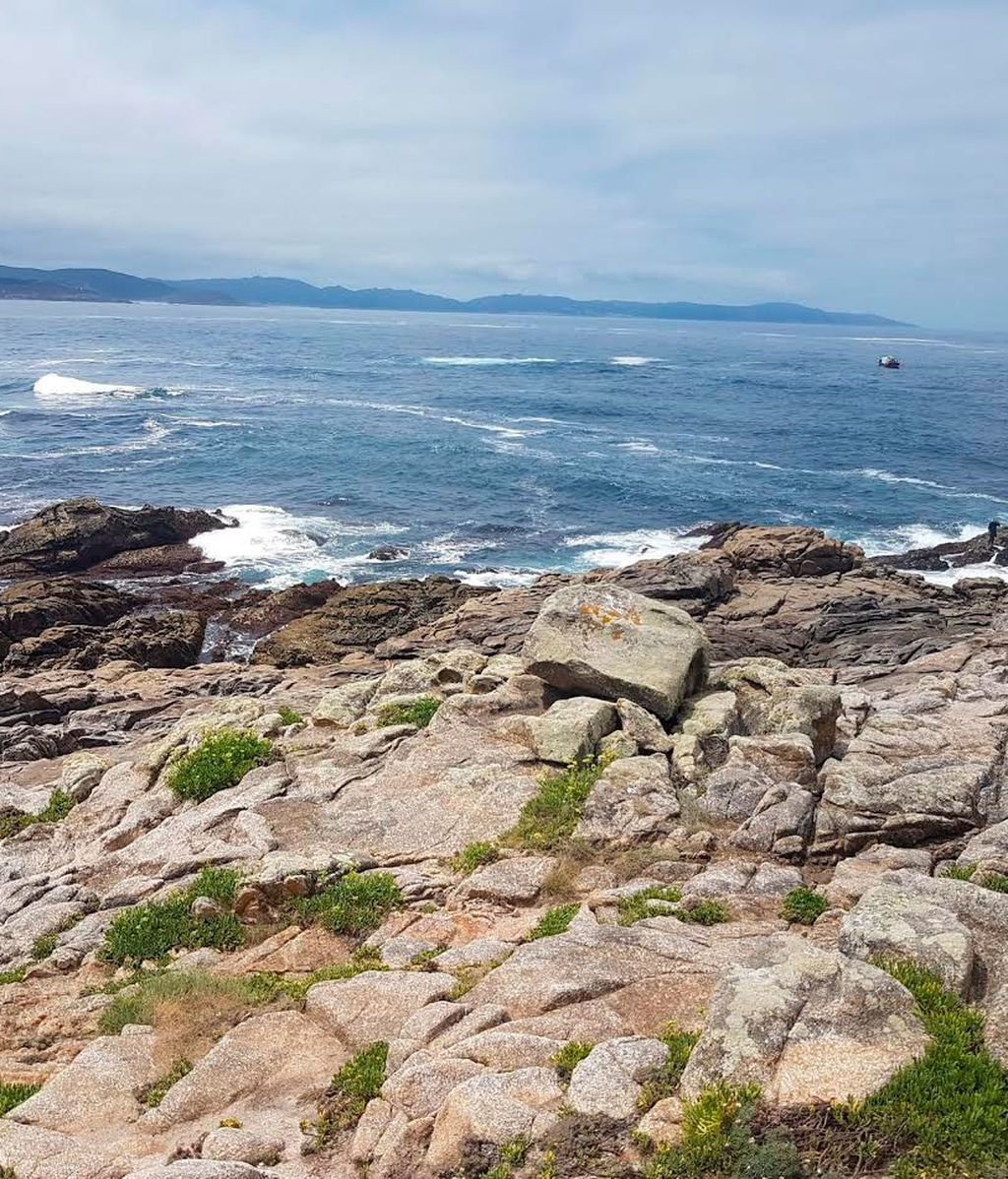 ¿Encuentras una mano entre las rocas en este nuevo reto visual?