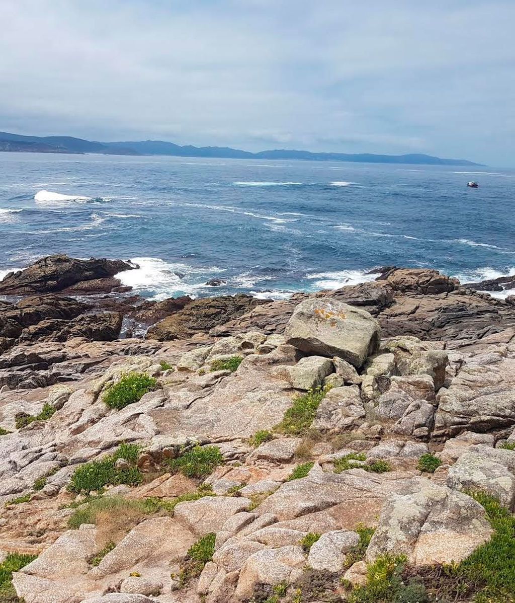 ¿Encuentras una mano entre las rocas en este nuevo reto visual?