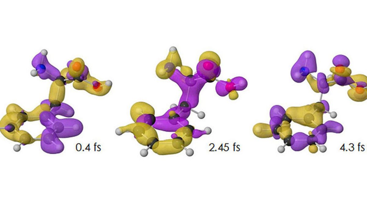 Variación de la densidad de carga con el tiempo para el isómero confórmocional o confórmero más estable del aminoácido fenilalanina (con el tiempo expresado en femtosegundos). El exceso o defecto de carga respecto al valor promedio se representa, respectivamente, en color amarillo o púrpura