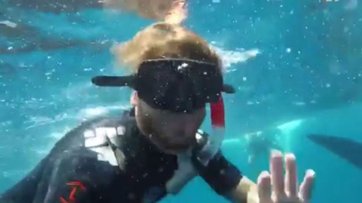 ¡La última locura de Sergio Ramos! Se baña con un tiburón ballena 🐋