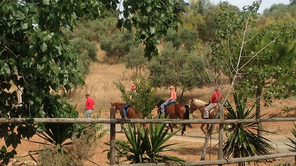 Actividades en plena naturaleza con caballos