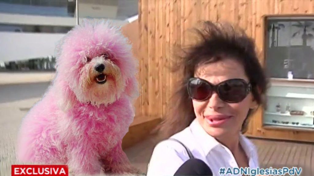 El perro rosa de María Edite revoluciona el plató de 'El programa de verano'