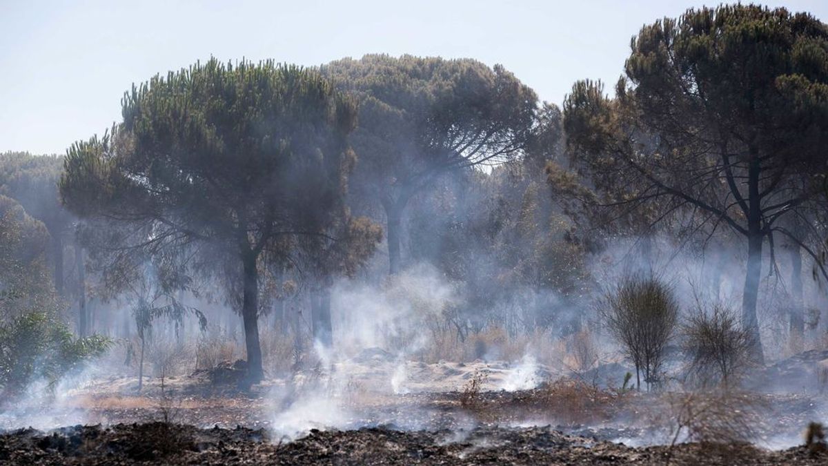 El fuego ha arrasado casi 56.000 hectáreas en lo que va de año, el peor desde 2012
