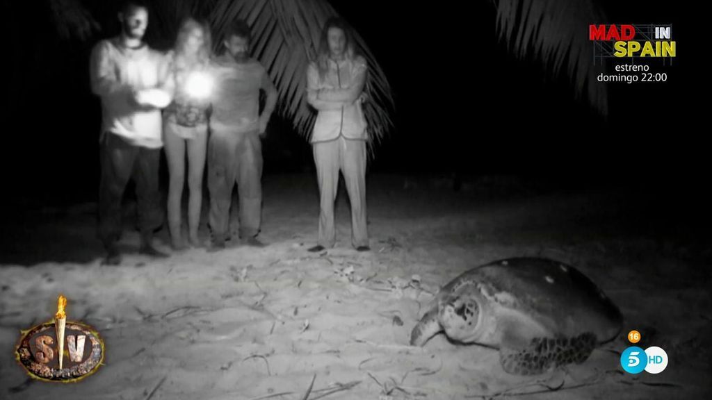 La última cena de los supervivientes tuvo sorpresa: ¡Una enorme tortuga!