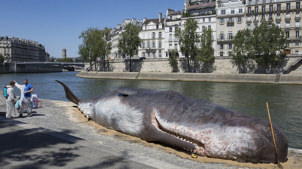 Una ballena 'aparece' en París a orillas del Sena