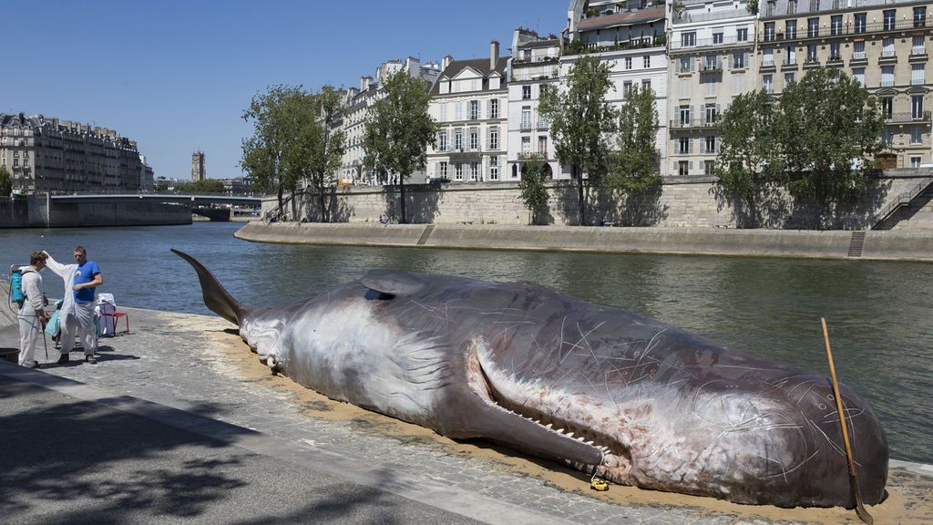 Una ballena 'aparece' en París a orillas del Sena