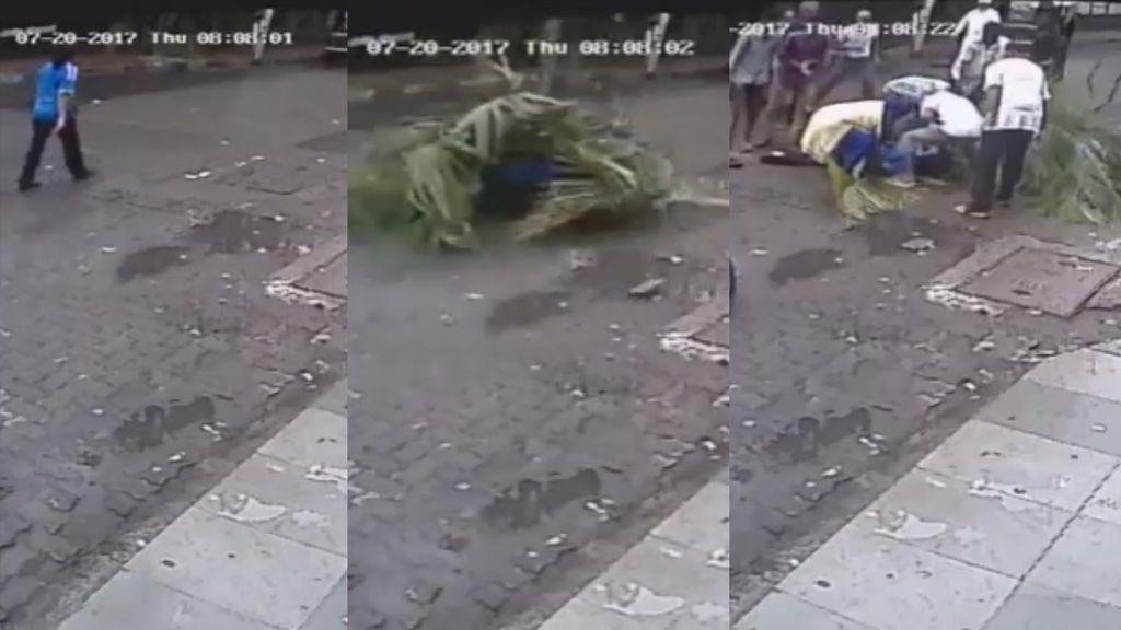 Momento en el que una reportera muere al caerle una palmera en la India