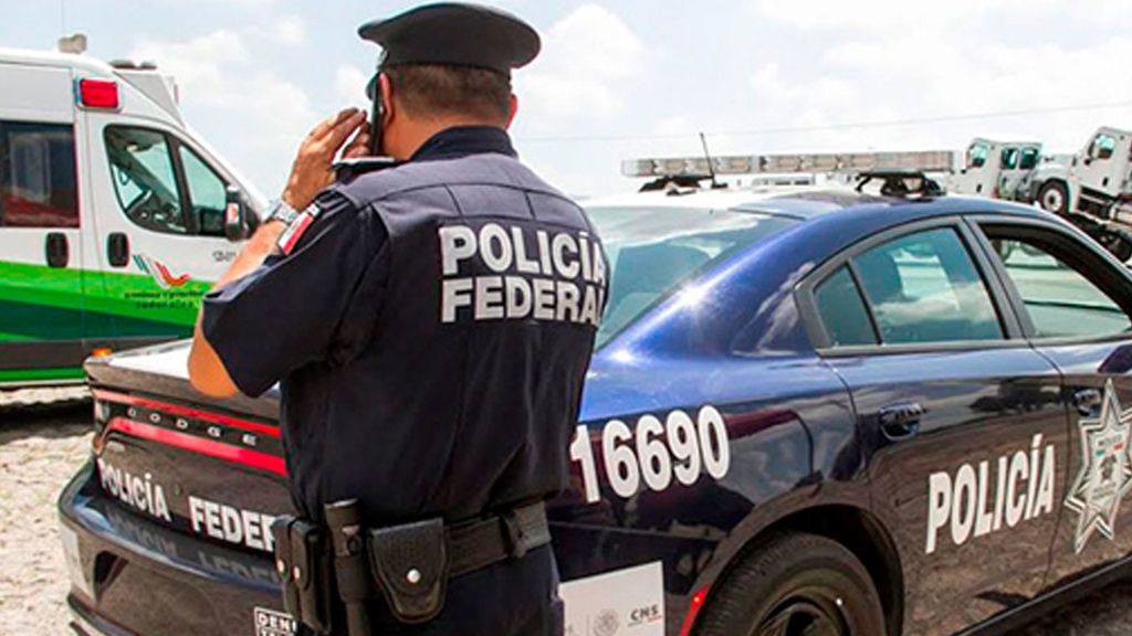 Una mujer de 74 años muere en su casa y sus perros se la comen
