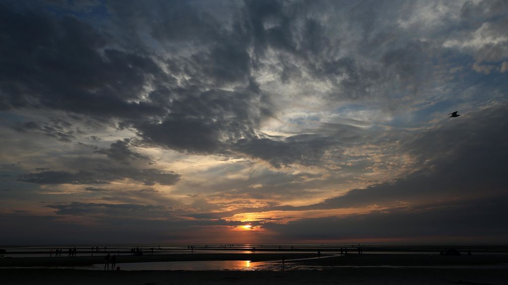 Playa de Cape Cod