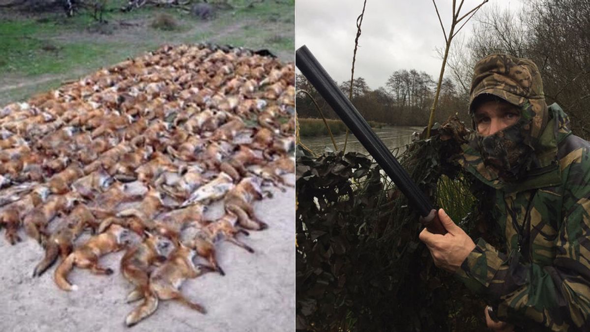 Vinnie Jones se defiende tras aparecer en su Twitter una imagen con 100 zorros muertos