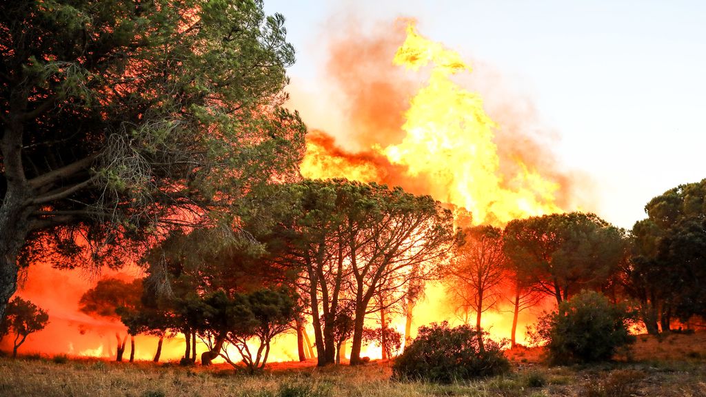 Lo peor: las más de 1.00 hectáreas consumidas por las llamasGtresonline