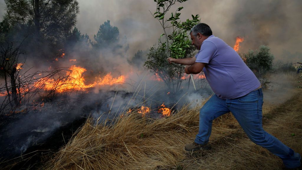 Incendio forestal en Brejo Grande, cerca de Castelo Branco