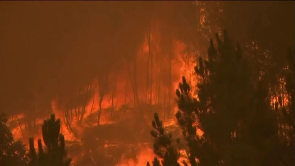 75.000 hectáreas quemadas en Portugal en 2017: una superficie mayor que Madrid ya es irrecuperable