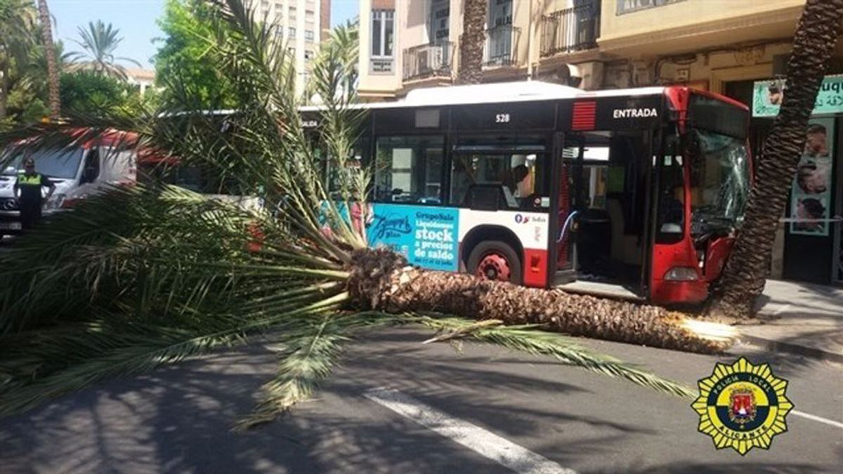 Diez heridos al chocar un autobús contra una palmera en Alicante