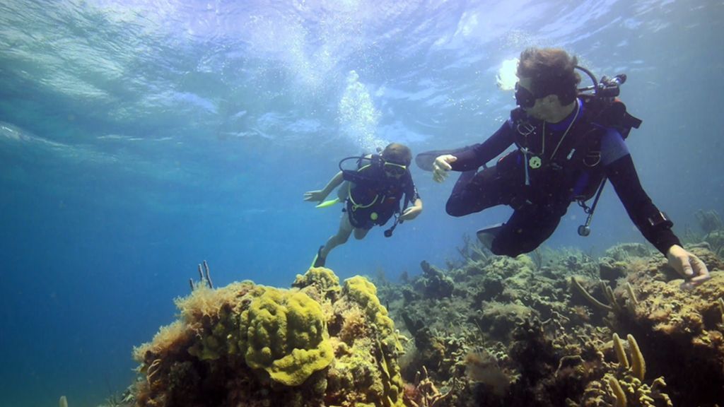 bautismo de buceo