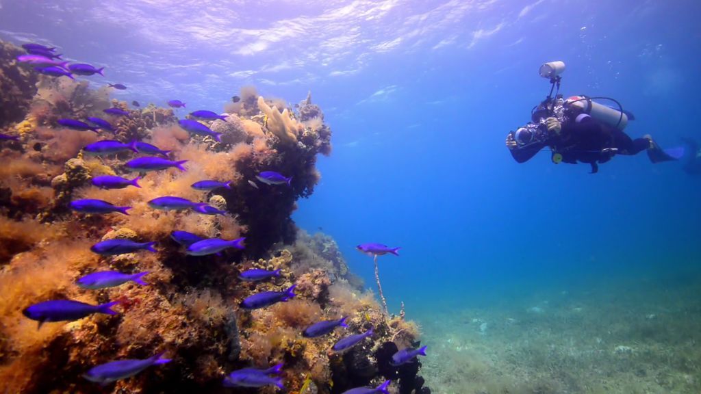 ¡Impresionante! El fondo marino deja sin palabras a Andoni en su primer día de buceo