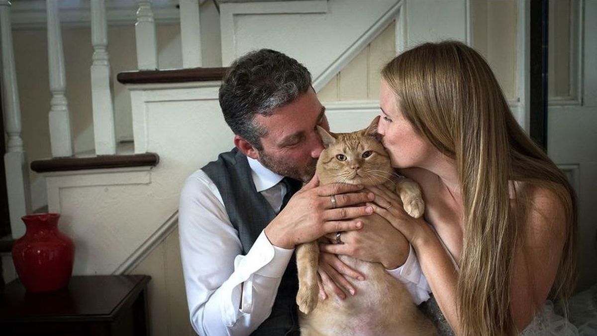 Una sesión de fotos de boda muy original: incluyen a su gato de más de 15 kilos