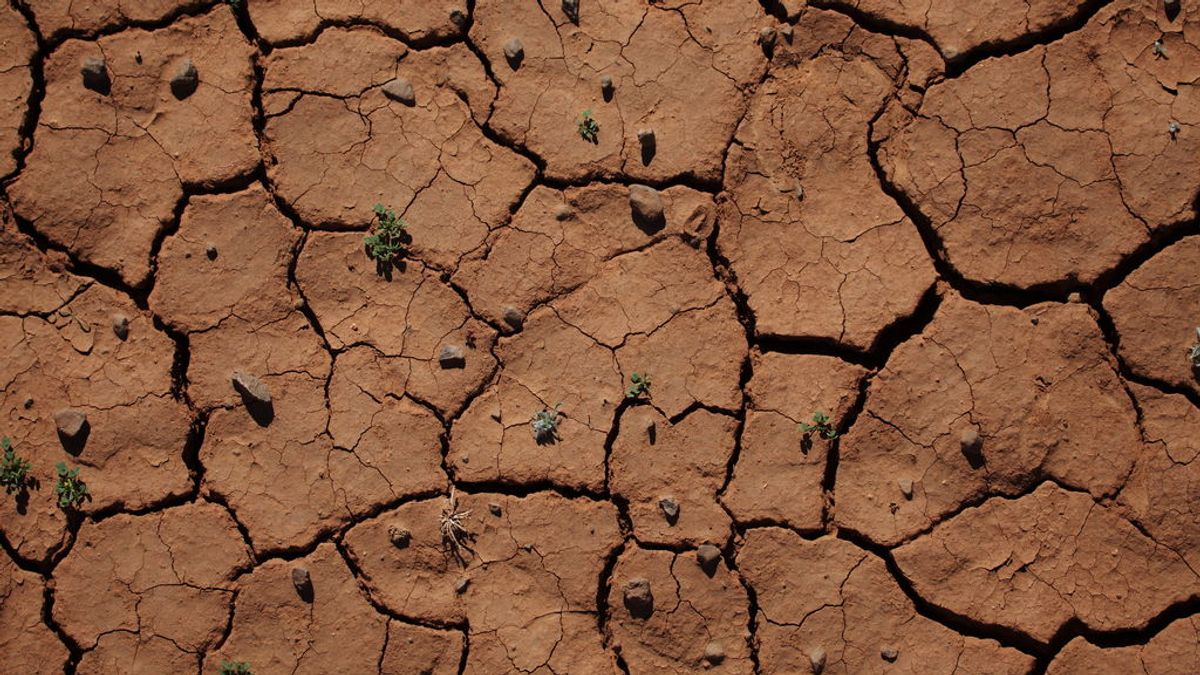 El cambio climático podría provocar grandes desastres naturales a finales de siglo